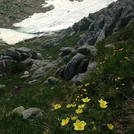 Des Alpes Hotel Foppolo