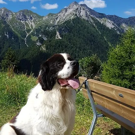 Des Alpes Hotel Foppolo